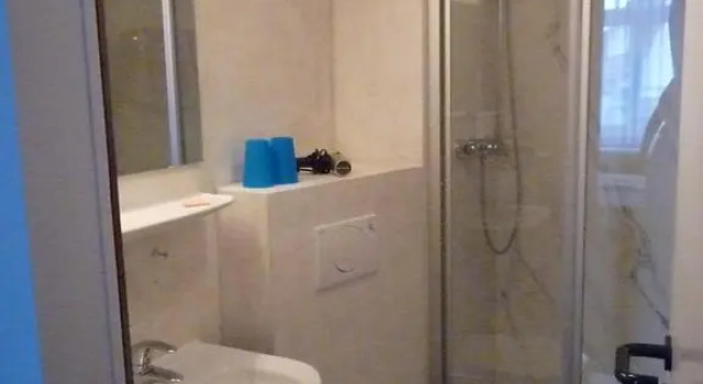 Номер Standard TIPTOP Hotel Garni Pfauen