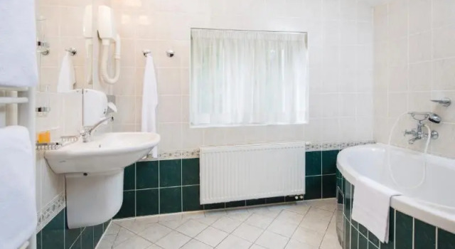 Люкс Standard Spa Resort Libverda - Villa Friedland