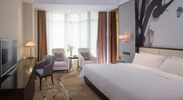 Одноместный люкс Deluxe Vienna International Hotel (Jiangmen Hetang Zhongjia Plaza Store)