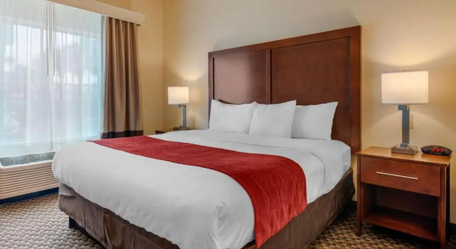 Люкс Comfort Inn & Suites Fort Myers Airport