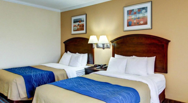 Четырёхместный номер Standard Comfort Inn Corsicana East