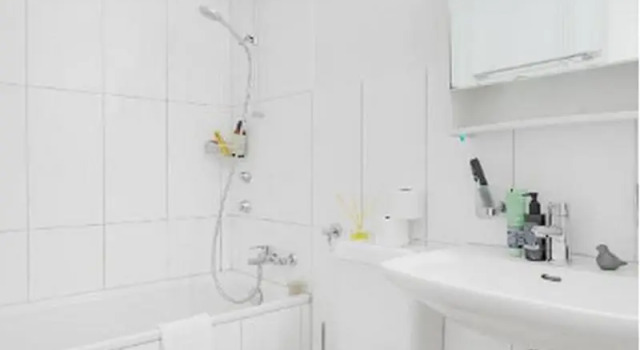 Апартаменты c 1 комнатой Swiss Star Zurich Oerlikon