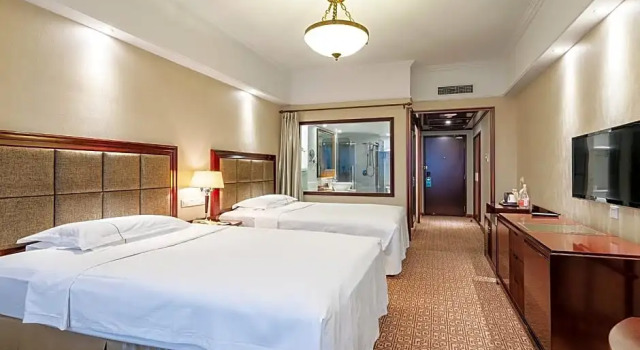 Двухместный номер Economy Grand Regency Hotel