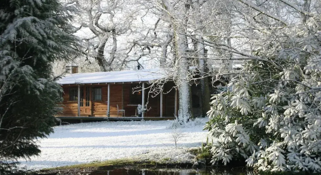 Номер Classic Parc-Le-Breos House