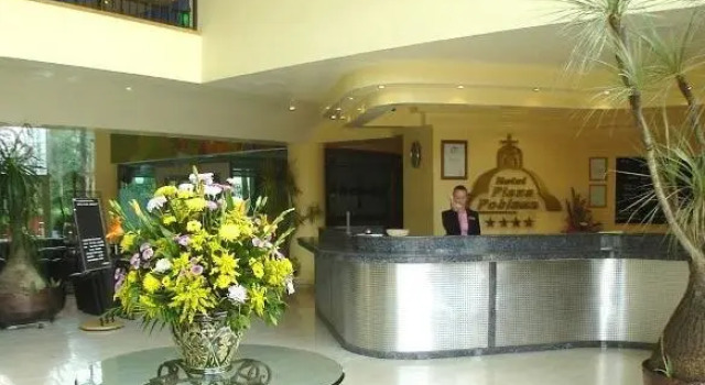Одноместный номер Executive Plaza Poblana
