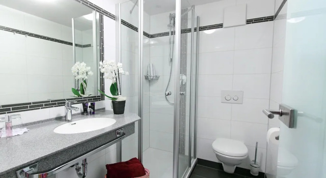 Номер Business Hotel-Gasthof Zum Oberen Wirt