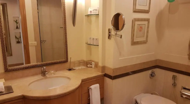 Номер Deluxe Park Plaza Gurgaon