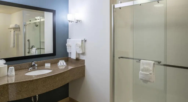 Четырёхместный номер Premium Hilton Garden Inn DFW North Grapevine