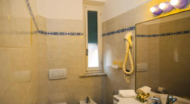 Номер Standard Hotel Delle Rose