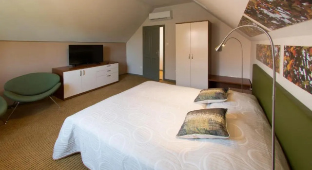 Люкс Superior Villa Oliva Boutique Rooms Zamárdi