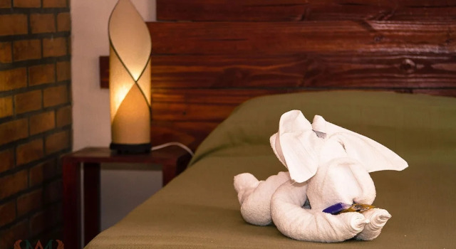 Номер Standard Madre America Hotel & Hostel