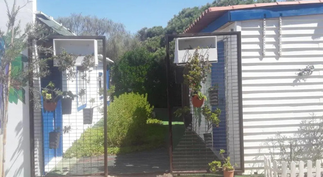 Бунгало Finca Las Dunas