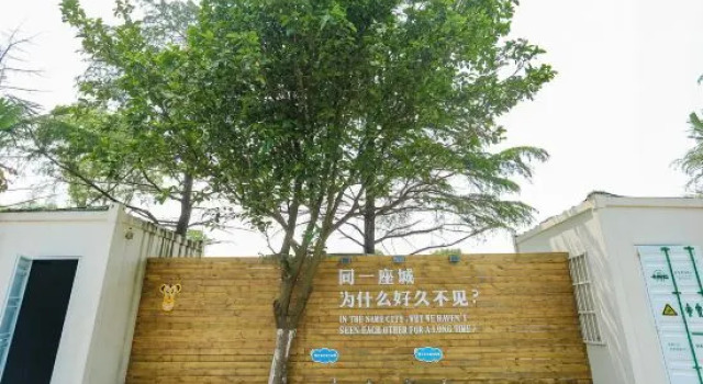 Тент Shanghai Camera Family Camp