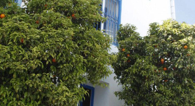 La Chambre Verte