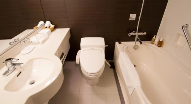 Двухместный номер Standard Akita Castle Hotel