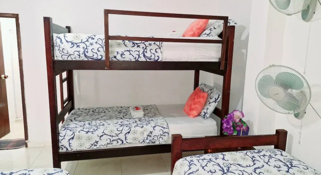 Четырёхместный номер Standard Hotel Flor Gloria