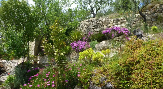 Коттедж Finca Sábila