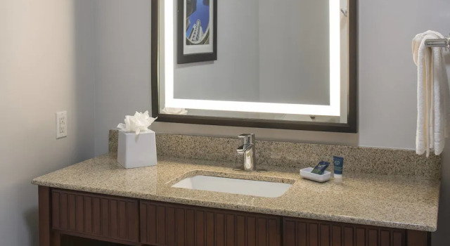 Двухместный номер Standard Four Points by Sheraton Houston Hobby Airport