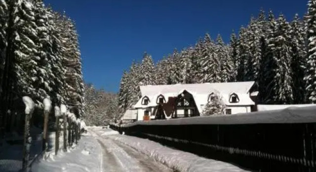 Cabana Harțagu, Varaa Hotelli  