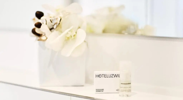 Номер Standard Hotel Schäfli