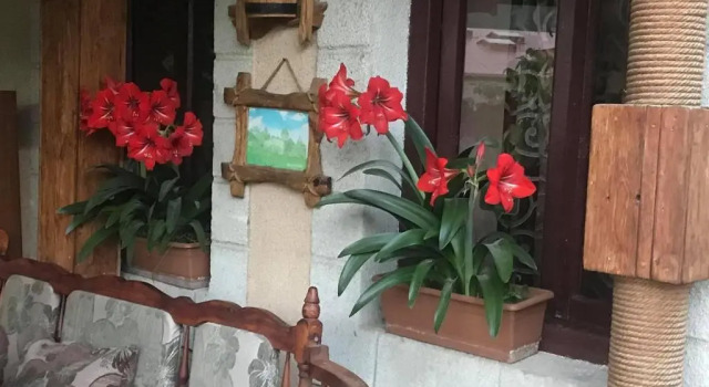Кровать в общем номере Guest House Anahit Ijevan