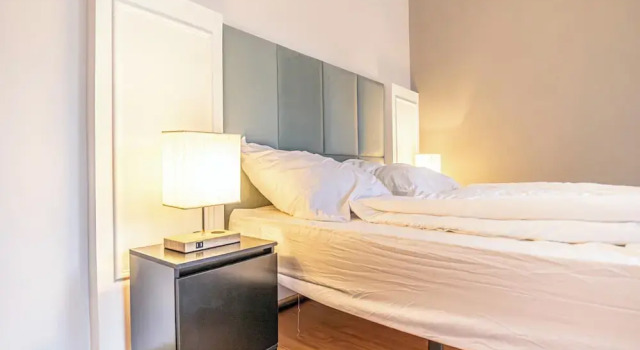 Luxury Flat with Access to Danube, Prenota Appartamento Vienna Austria