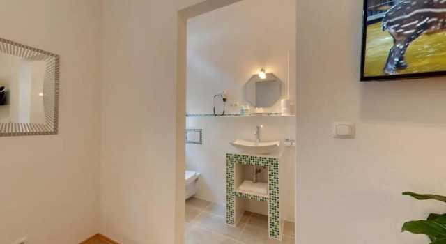Одноместный номер Standard Hotel Schwanen