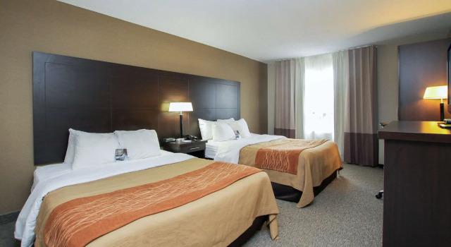 Четырёхместный номер Standard Comfort Inn