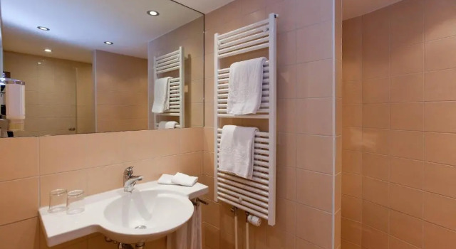 Двухместный номер Standard Central City Hotel Rochat