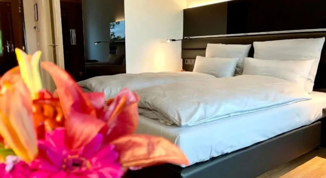 Двухместный номер Standard с видом на город Best Western Plus Hotel Brueggen