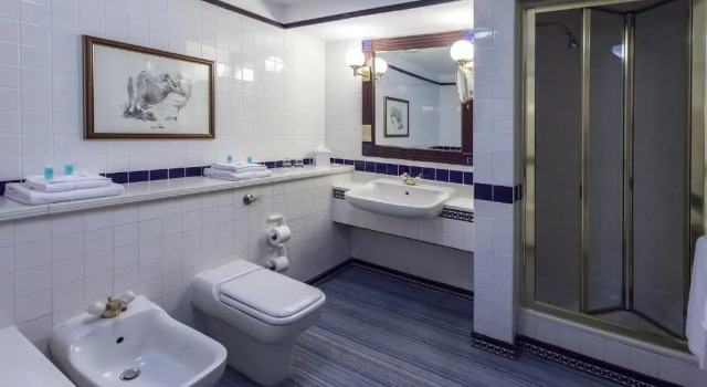 Двухместный номер Standard Lodge Europa Gatwick Hotel