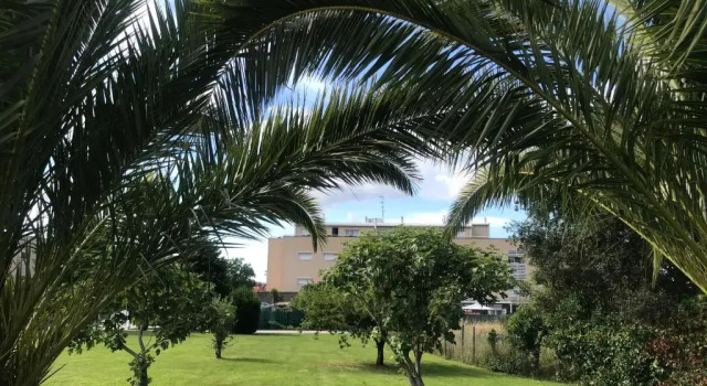 Апартаменты Apartamentos Olga Cantabria
