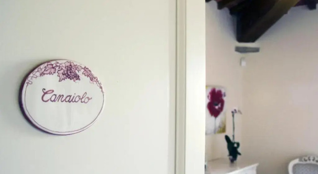 Agriturismo la Concezione, Book Hotel Castiglion Fibocchi Toscana