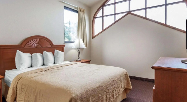 Люкс c 1 комнатой Quality Inn & Suites at Dollywood Lane