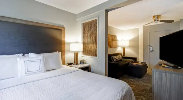 Люкс SpringHill Suites by Marriott Atlanta Kennesaw
