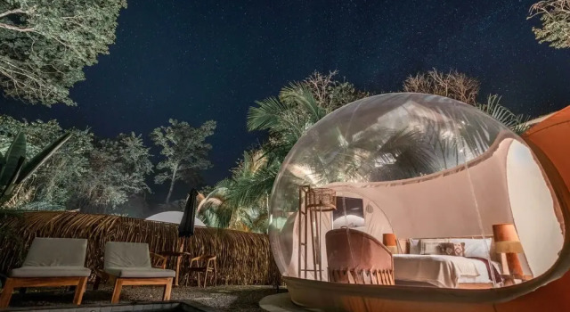 Номер Standard Satori The Bubble Experience Lodge