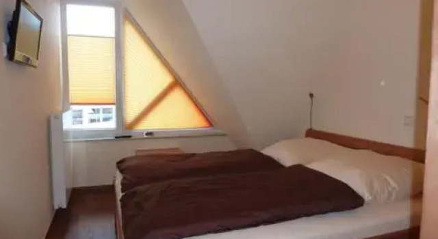 Sonneneck