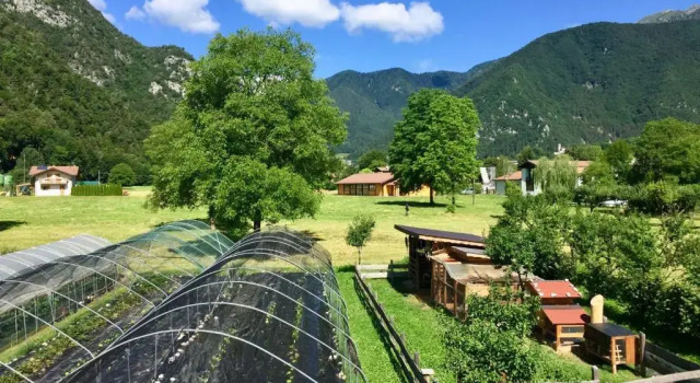 Номер Deluxe CROSINA HOLIDAY - B&B dalla Fattoria della Patty