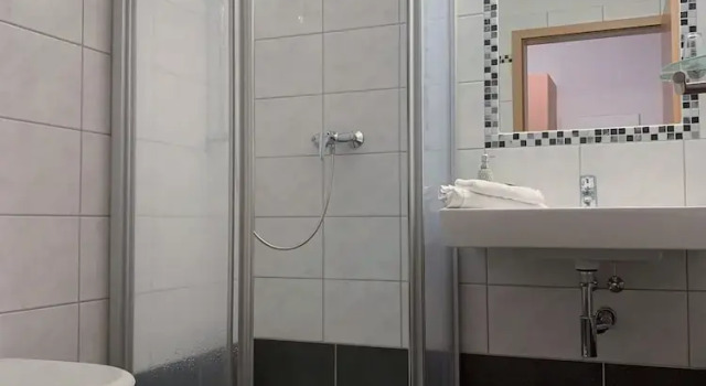 Номер Standard Hotel Restaurant Steinhägerquelle