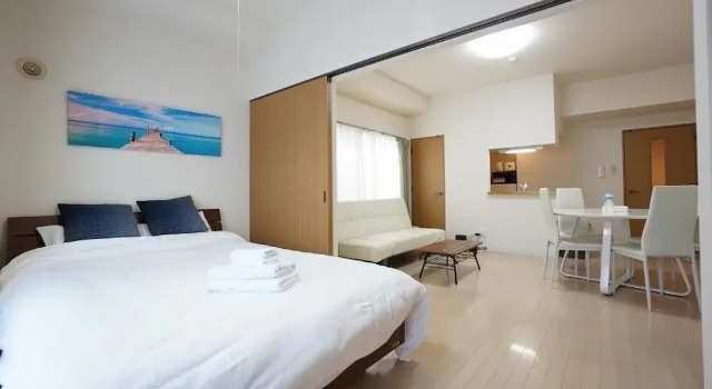 Апартаменты IK Minami6Jo Residence 1003