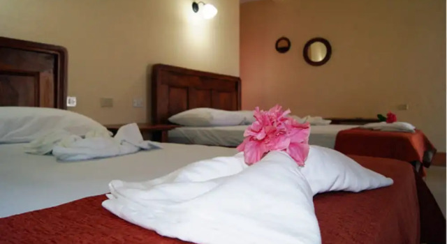 Номер Standard Finca Playa Venecia