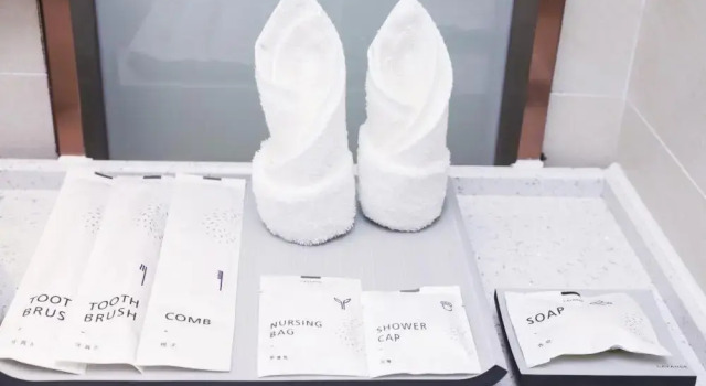Номер Deluxe LAVANDE HOTELS SHENZHEN NORTH STATION LONGHUA FOXCONN HEADQUARTERS