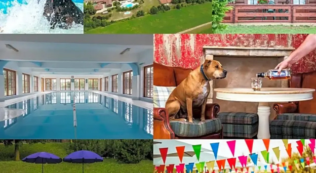 Шале Petneházy Aparthotel