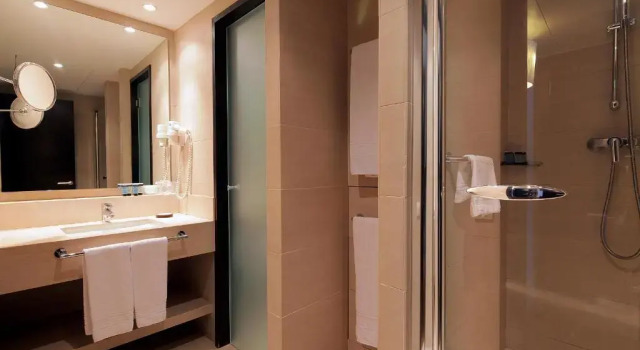 Двухместный номер Standard Hotel Condado