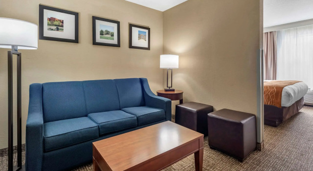 Двухместный люкс Comfort Inn & Suites Muncie Near University