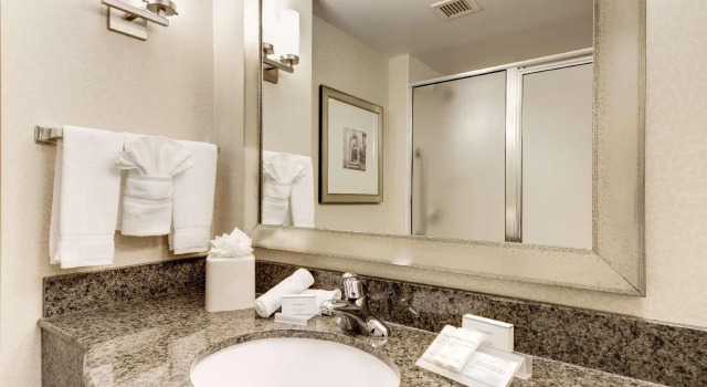 Двухместный номер Standard Hilton Garden Inn Waldorf