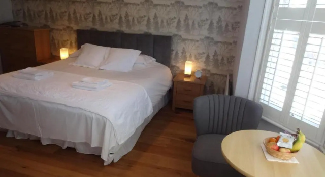 Номер Superior Aquarium Guest House