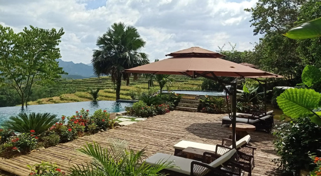 Puluong Home