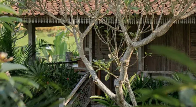 Люкс Standard Aswanaya Villas Ubud