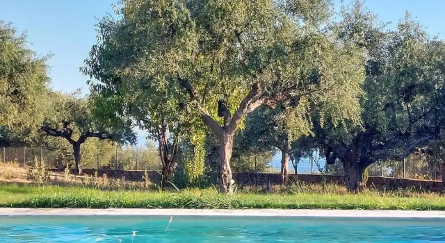 Вилла Villa Eleni - Garden Pool Retreat Near Kardamili